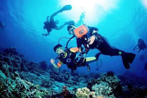 全球连线 | 国内首个国际冰帆赛落户锦州,10国选手扬帆渤海冰面